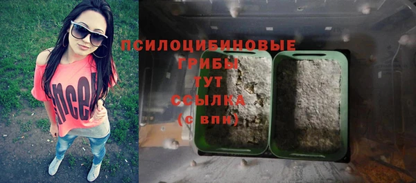 ALPHA PVP Алзамай