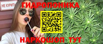 spice Абинск
