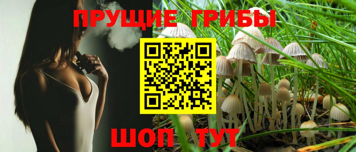 Галлюциногенные грибы Magic Shrooms Ачинск