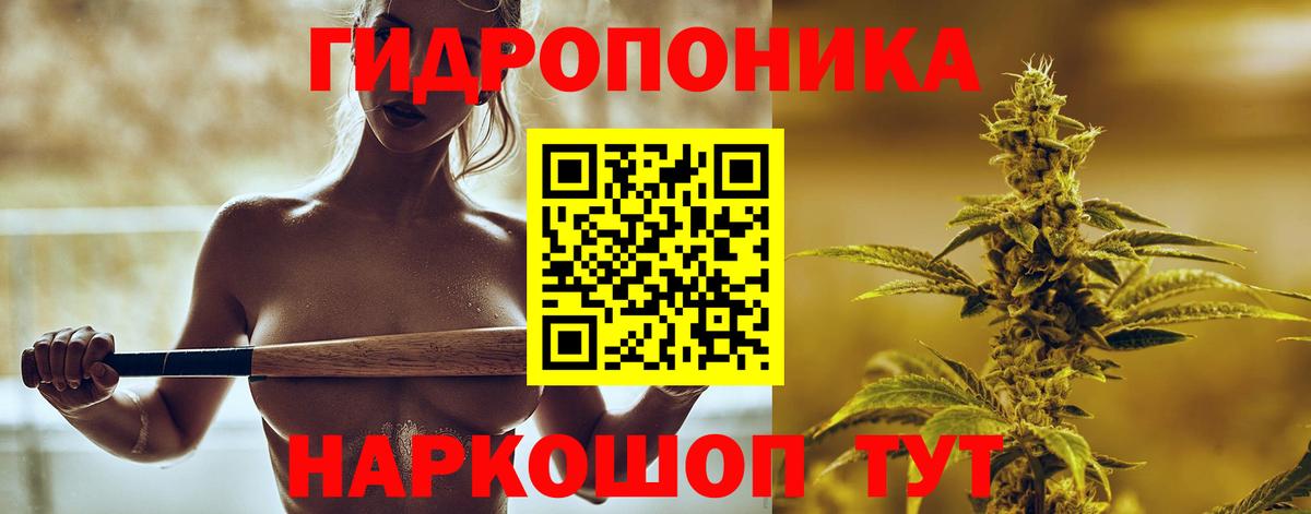 Шишки марихуана тримм  Вход с VPN  Каннабис планчик  Марихуана ГИДРОПОН  Ачинск  Канабис White Widow 